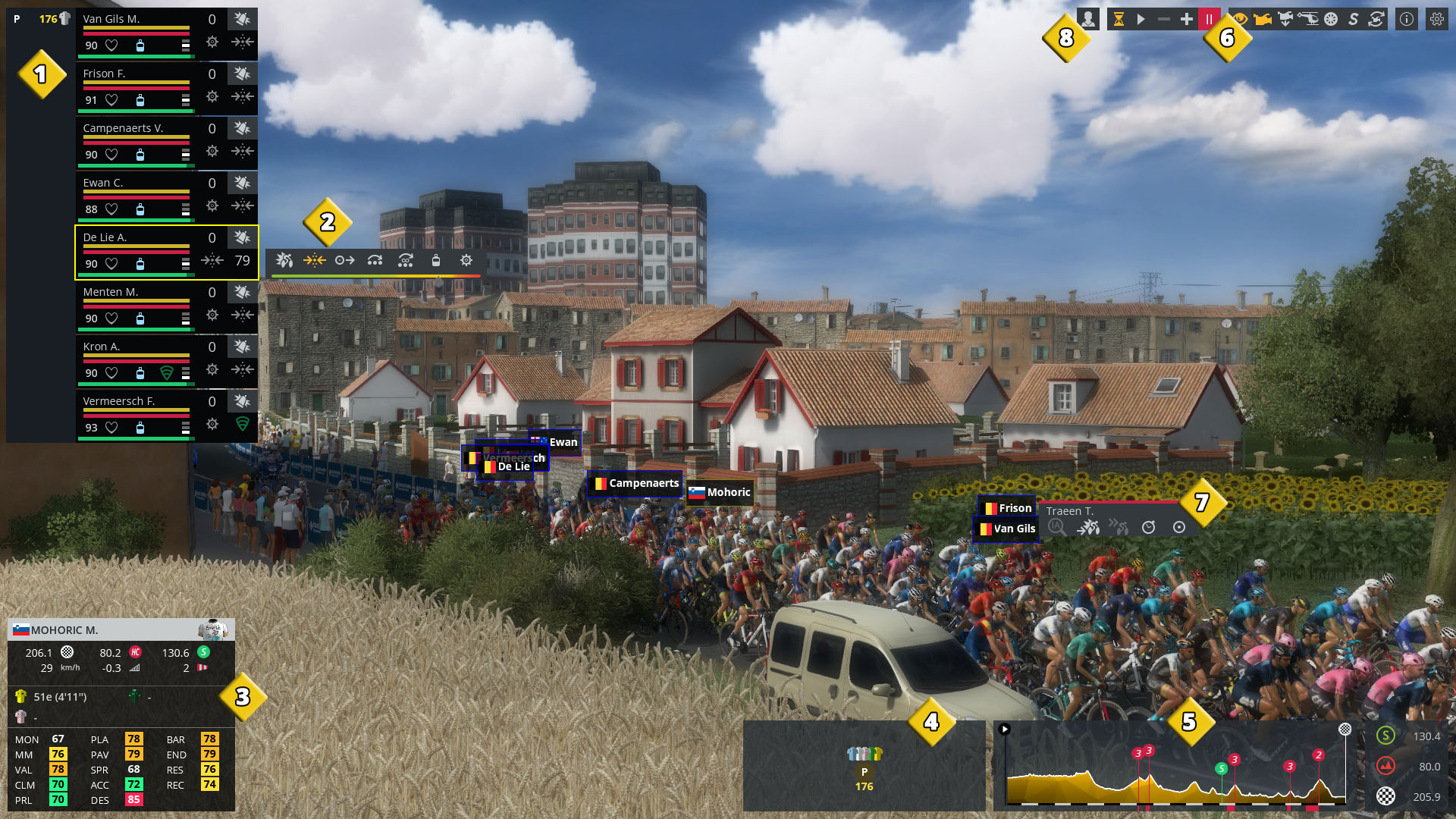Race controls