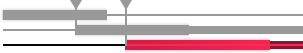 attackgauge